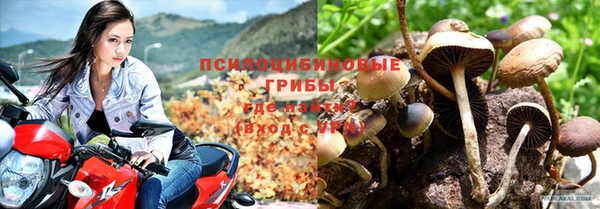 прущие крисы Алексеевка