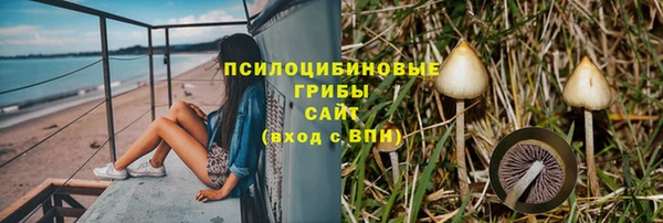 твердый Алексин